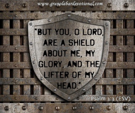 the lifter of my head